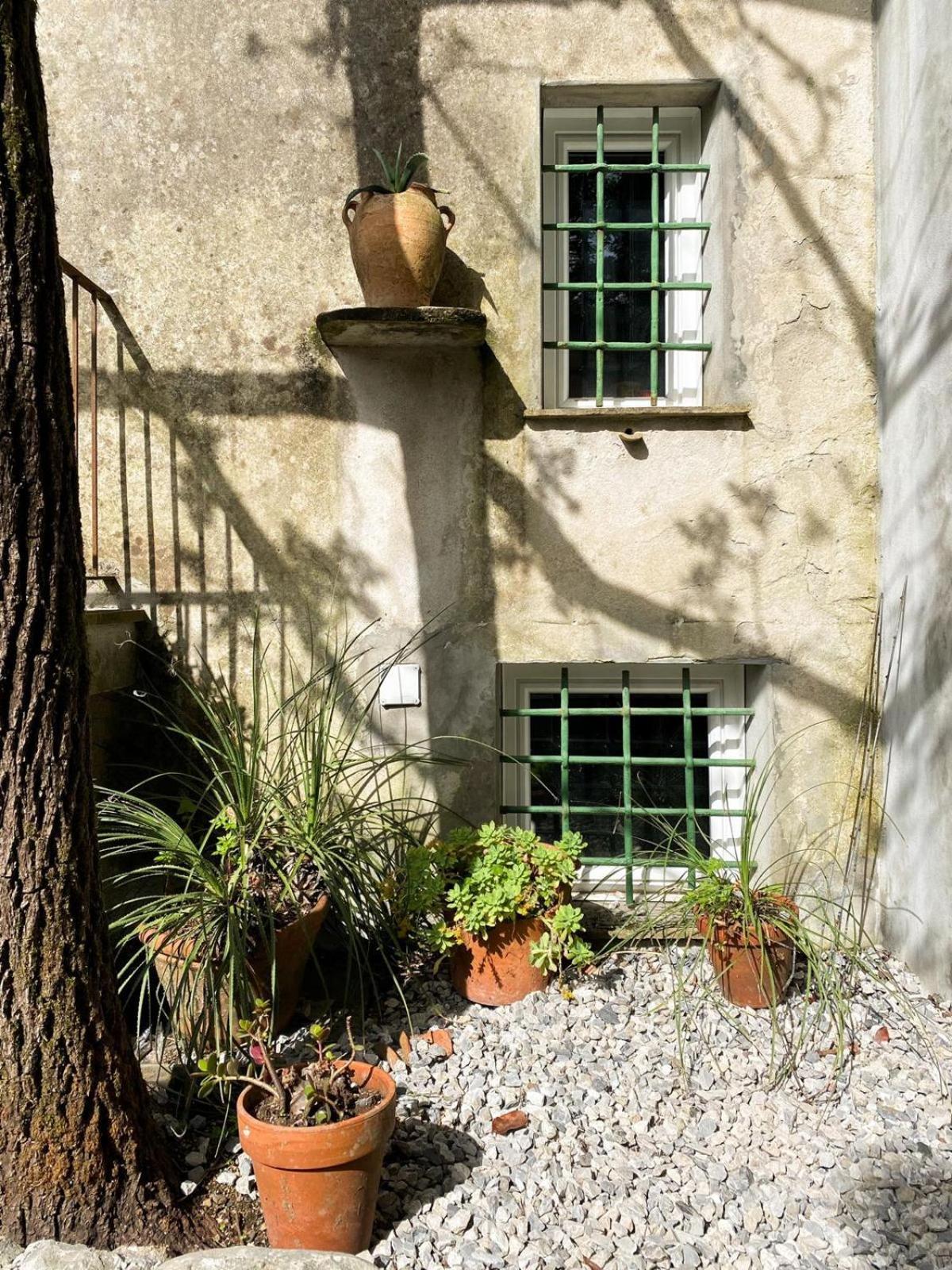 Appartement Residenza Nemus Mare E Montagna à Graveglia Extérieur photo