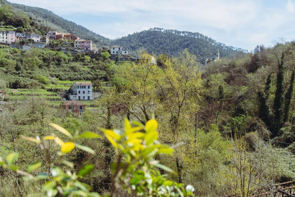 Appartement Residenza Nemus Mare E Montagna à Graveglia Extérieur photo
